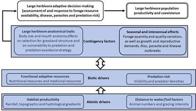 Functional adaptive resources for large herbivores in African savannas: an ecological-gradient based framework